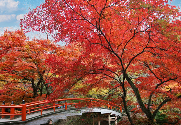 河鹿橋