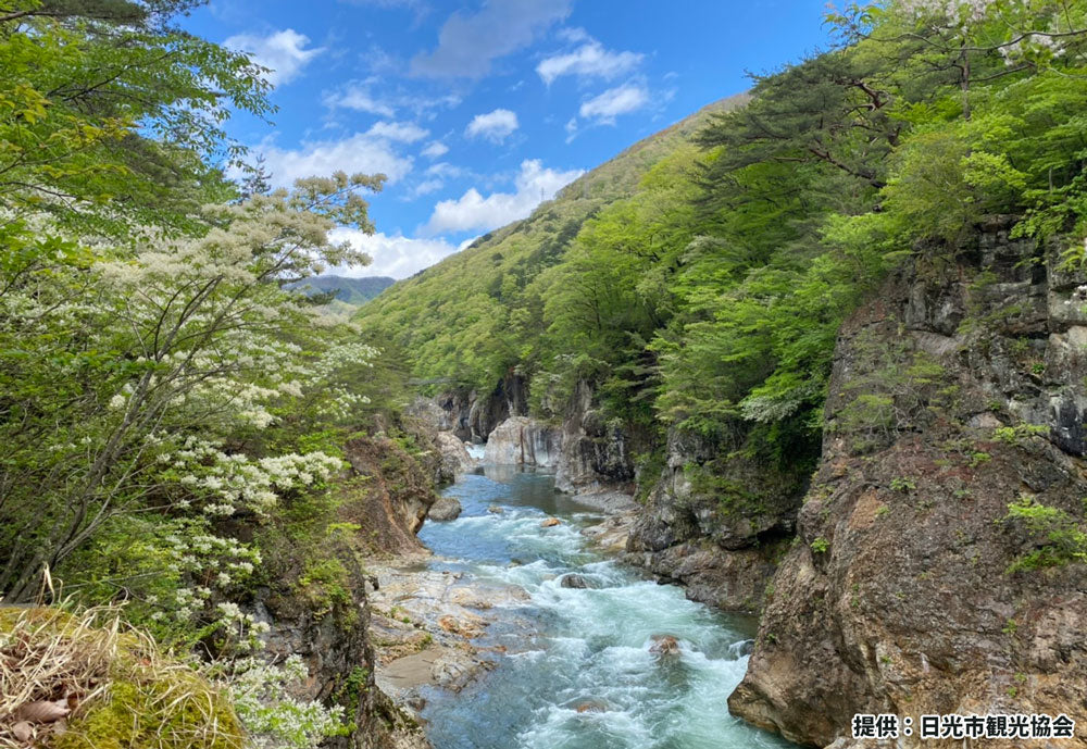 龍王峡