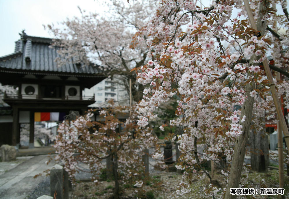 正福寺