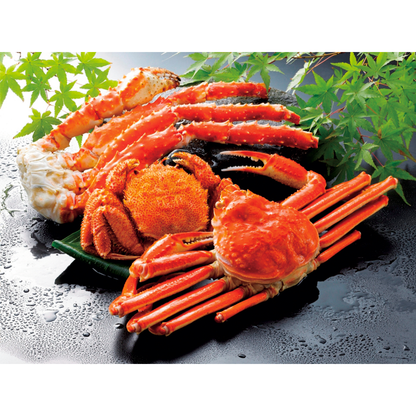 【旅行・体験カタログギフト】JTB たびもの撰華 橘（たちばな）5万円