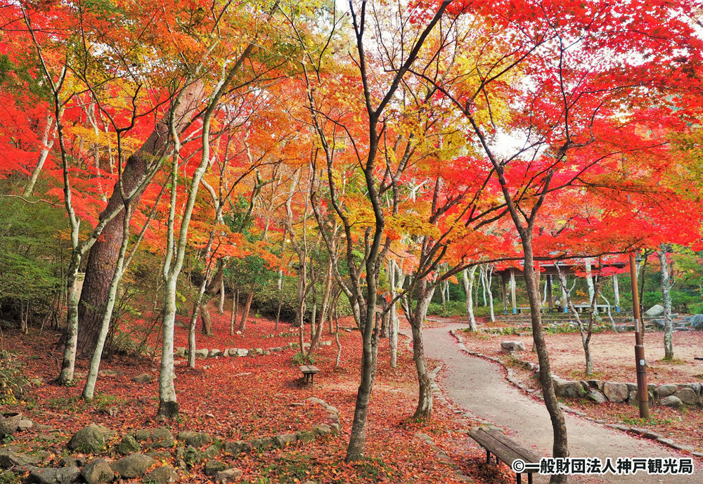 瑞宝寺公園